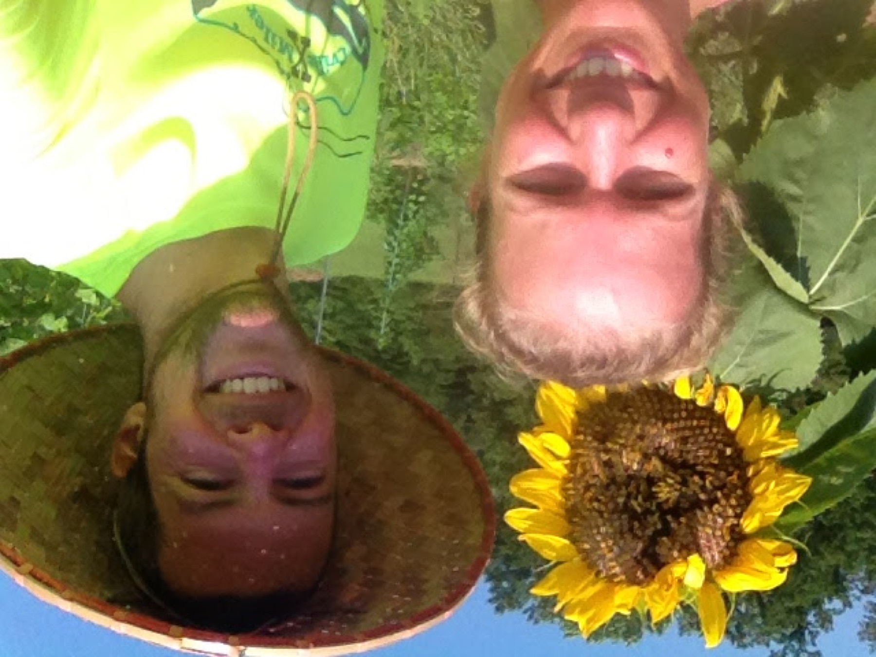 The two of us in the field with a giant sunflower covered in bees